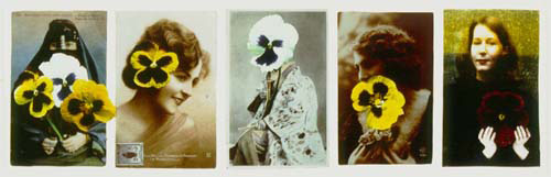 megan-jenkinson-evolution-of-the-species-1983
